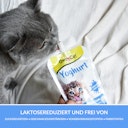 Vorschaubild Gimpet Cat Yoghurt Katzensnack