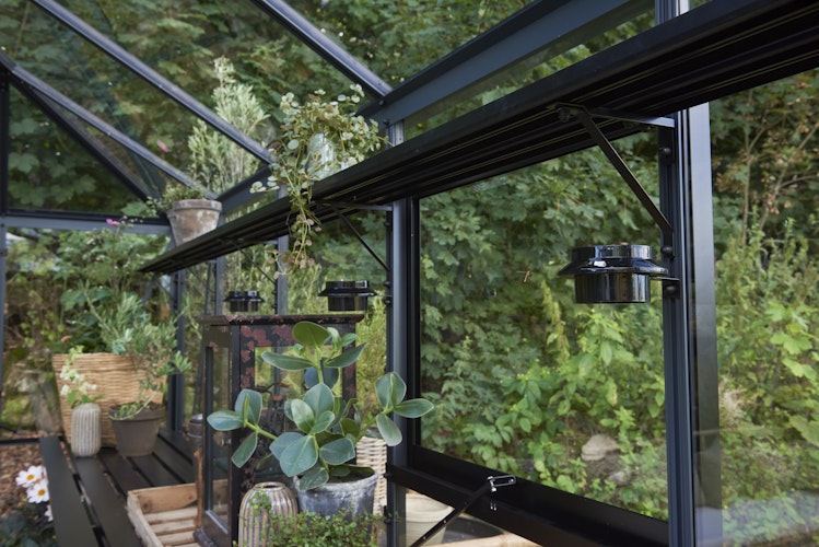 Juliana Gewächshaus Grand Oase anthrazit - 3 mm Sicherheitsglas - 25,6 m² inkl. gratis Fundamentrahmen im Wert von 849 €