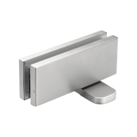Griffwerk Pivot Glas- Edelstahl matt Glastürschließer- einstellbar- hydraulisch -100Kg- 8-12mm