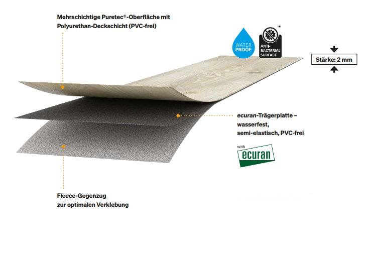 Meister_2023_design_neu_pro_bea