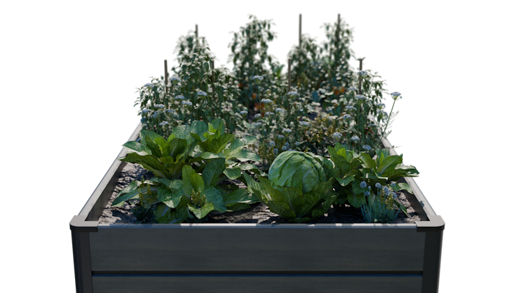 GroJa Solid Rhombus Stecksystem Hochbeet 150 x 70 x 79 cm  Steingrau co-extrdiert