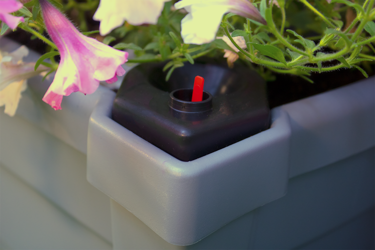 KHW Calypso Pflanzkasten auf Rollen mit Bewässerungssystem + modularem Spalier