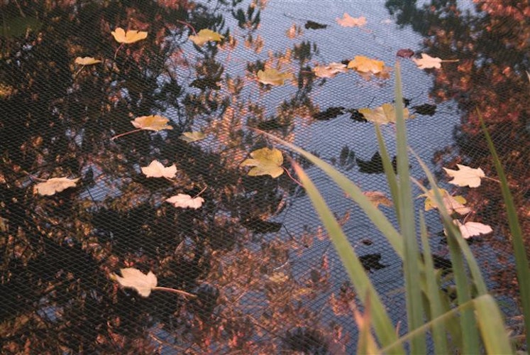 Ubbink PondNet Laubschutznetz 5 x 6 m