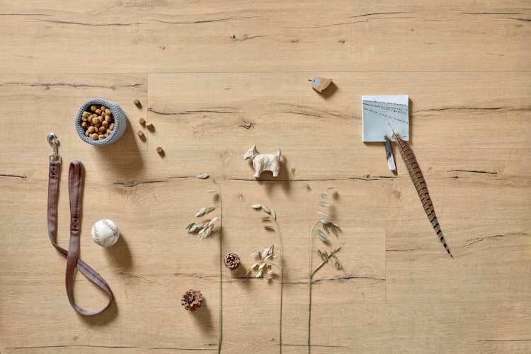 MEISTER Designboden MeisterDesign. next DL 500 S 2052 x 220 x 8 mm 7139 Altholzeiche hell Porensynchron-Struktur