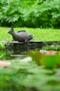 Vorschaubild Ubbink Wasserspeier Fisch XL
