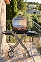 Vorschaubild NAPOLEON Elektrogrill TRAVELQ™ PRO285EX, mit klapbaren Wagen