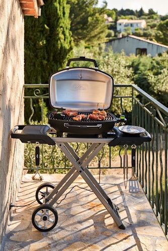 NAPOLEON Elektrogrill TRAVELQ™ PRO285EX, mit klapbaren Wagen