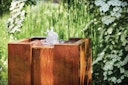 Vorschaubild Oase Wasserspiel Cube 90 CS (88427)