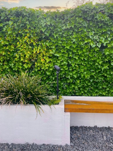 Lightpro Erdspieß Multispike 40-60 cm für Castor und Juno