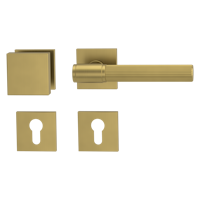 Griffwerk Wechselgarnitur VAYA 136 ARIS fast2fix Fast2Fix Rosetten eckig Knopf SQUARE Gold matt R