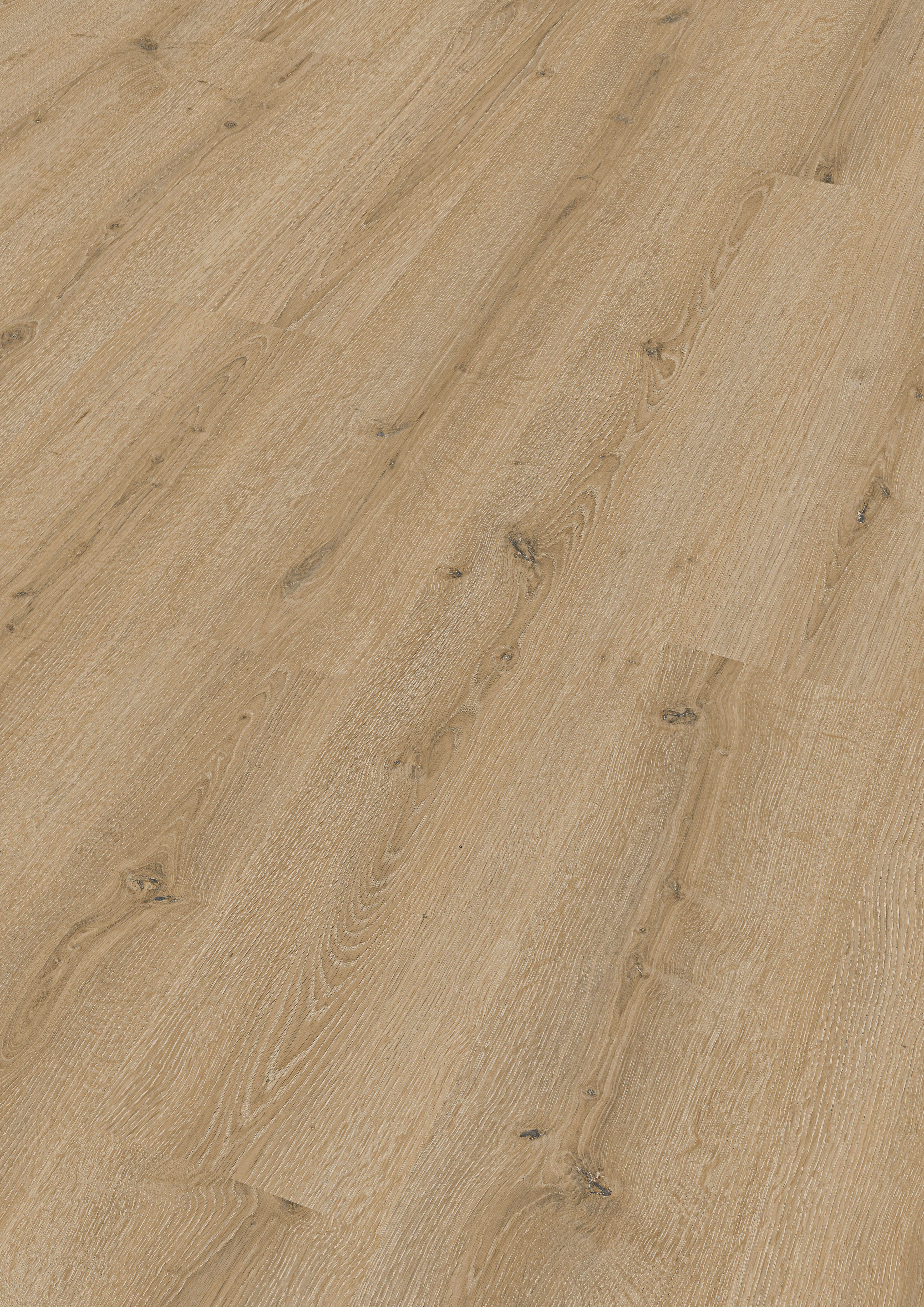 Handmuster Meister Laminatboden MeisterDesign. laminate LC 150 1288 x 198 x 8 mm 07141 Turmeiche hell Porensynchron-Struktur