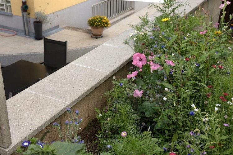 WESERWABEN® Mauerabdeckung Flach 