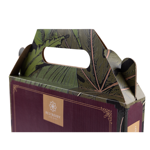 Restberry's Pflanzenerde Indoor