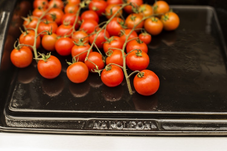 NAPOLEON Gusseiserne Grillplatte Plancha (56090)