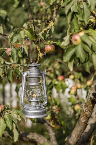 Feuerhand Sturmlaterne Baby Special 276