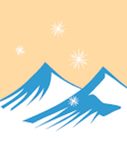 Skan Holz Schneelasterhöhung für Flachdach Carports