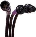 Vorschaubild Campagnolo Interface EPS V4 12s schwarz extern, inkl. Kabelset, Kabellängen: 500