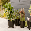 Vorschaubild Plant Pot Pamu, schwarz