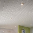 Vorschaubild HANDMUSTER MeisterWerke Dekorpaneele MeisterPaneele. terra DP 250 Fineline weiß 4017