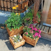 BambusBASIS Pflanzkübel - quadratisch, 3er-Set (S, M, L)