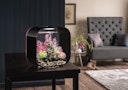 Vorschaubild BiOrb Aquarium LIFE 30 MCR