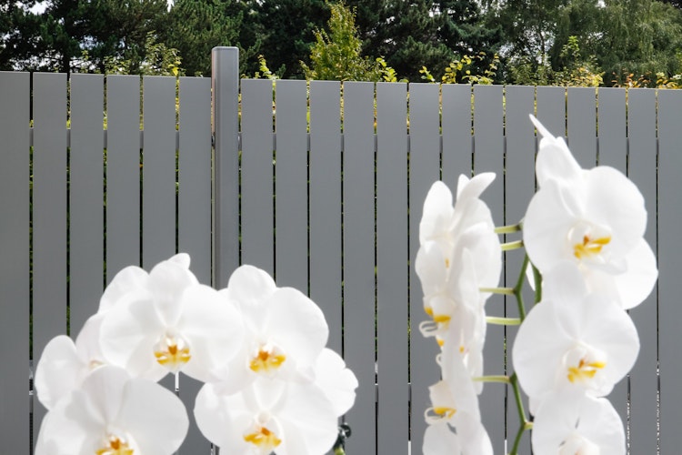 TraumGarten Squadra Alu-Sichtschutz auf Maß