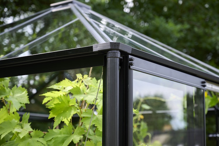 Halls Gewächshaus Qube Square - 6,3 m²