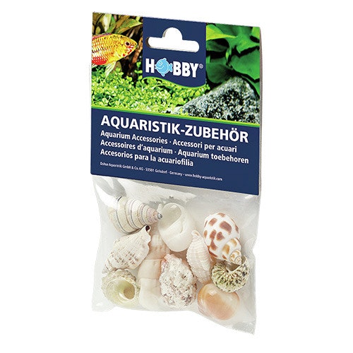 HOBBY Natur Sea Shells Aquarieneinrichtung