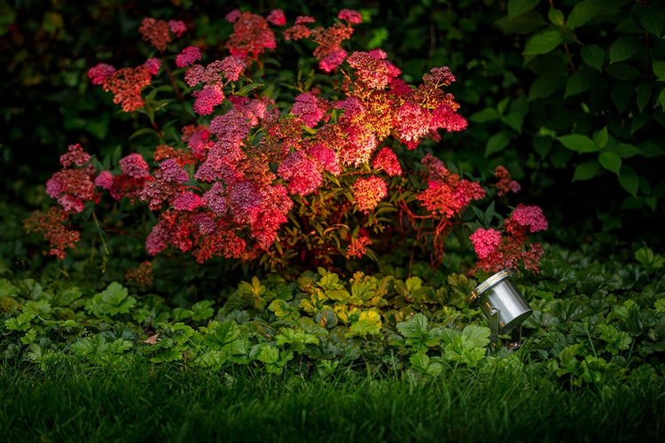 Garden Lights Strahler Arigo