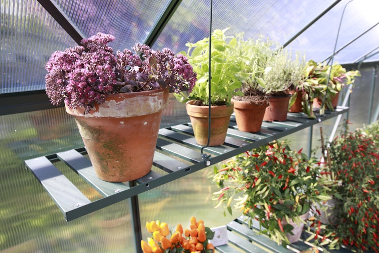 Vitavia klappbares Aluregal inkl. Befestigungsmaterial