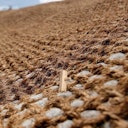 Vorschaubild NOOR Holzhaften für Erosionsschutzmatte 300mm 250 Stück aus Buchenholz