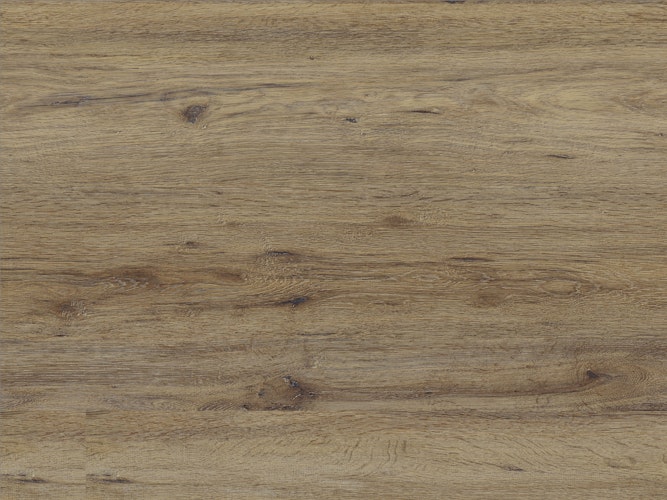 Muster SLY XL Edinburgh Oak 280x160