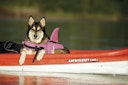 Vorschaubild NOBBY Hunde Schwimmhilfe "Sharki"