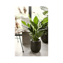 Vorschaubild Plant Pot Nilas schwarz