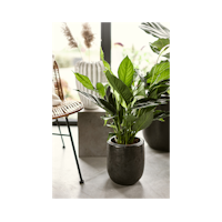 Vosteen Design Blumentopf / Pflanzgefäß Terrakotta schwarz ø 20 cm x H 22 cm