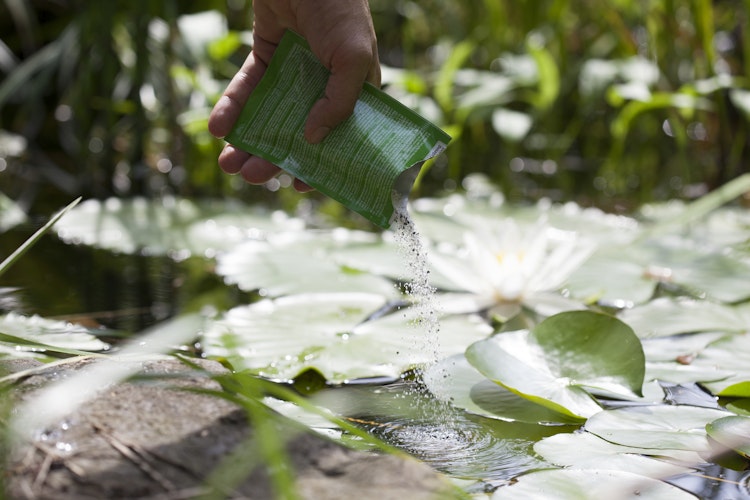 Heissner Klarwasser-Filter-Leistungssteigerung (10 Beutel im Karton) (F-PLUS)