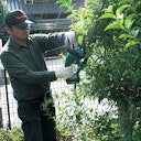 Vorschaubild Makita Akku-Heckenschere DUH523Z