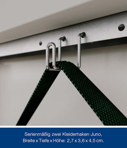 Hörmann Metall-Gerätehaus Juno JPD mit Pultdach