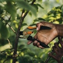 Vorschaubild Fiskars Solid Metall Bypass Gartenschere P331 1057163