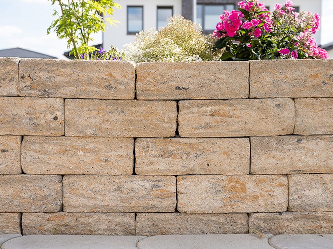 Diephaus Mauersteine SIOLA-MINI