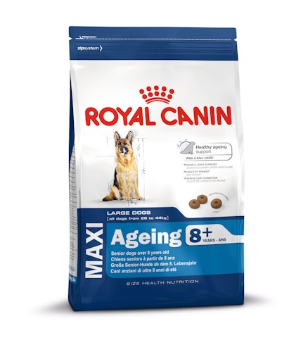 ROYAL CANIN SHN MAXI Ageing (8+) Hundetrockenfutter