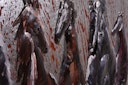 Vorschaubild 3D Metallbild Fury 120 x 80 cm, Stahlblech