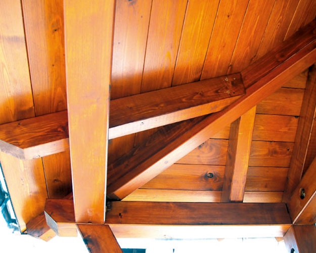 Skan Holz Walmdach Vordach Doppeltür Wismar