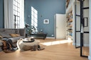Vorschaubild HANDMUSTER MEISTER Designboden MeisterDesign. comfort DL 600 S 7132 Princess Oak pure Porensynchron-Struktur