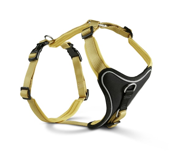 Wolters Professional Comfort curry gelb Hundegeschirr