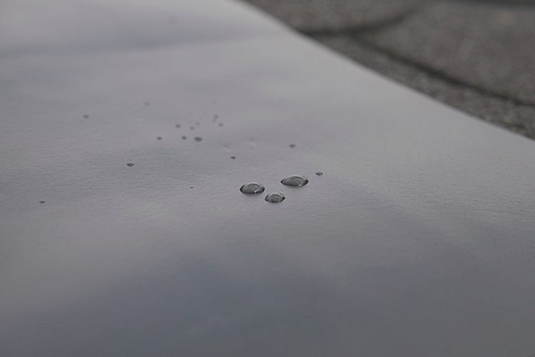 Wolff Finnhaus EPDM Dachbahn 7,5 m² inklusive Klebstoff