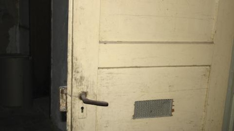 beko SPEED-EX - Der Abbeizer -