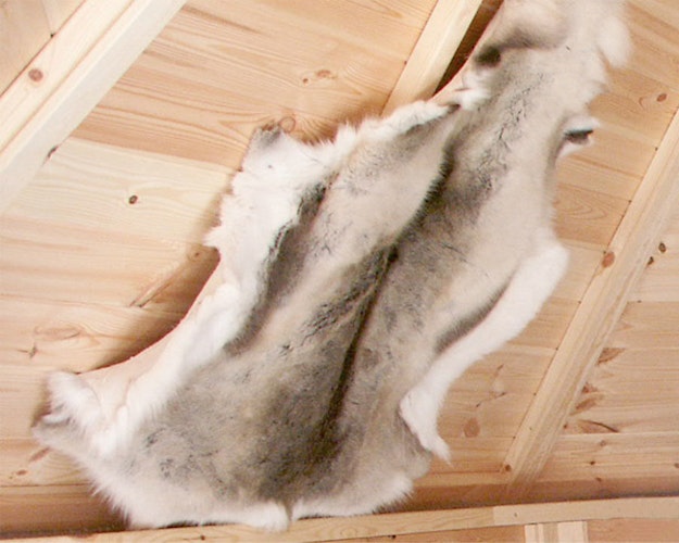 Wolff Finnhaus zusätzliches Rentierfell