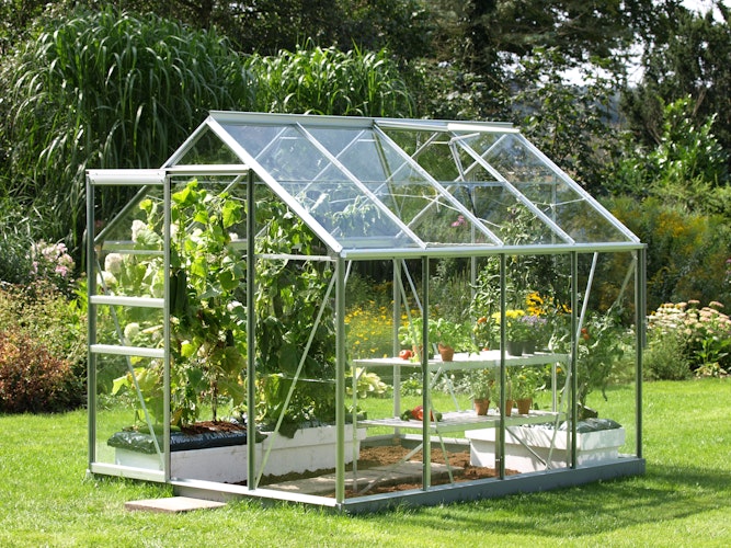 Vitavia Gewächshaus Venus 5000 inkl. 1 Dachfenster - 5,0 m²