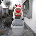 Vorschaubild Winterschutz Vlieshaube in verschiedenen Motiven